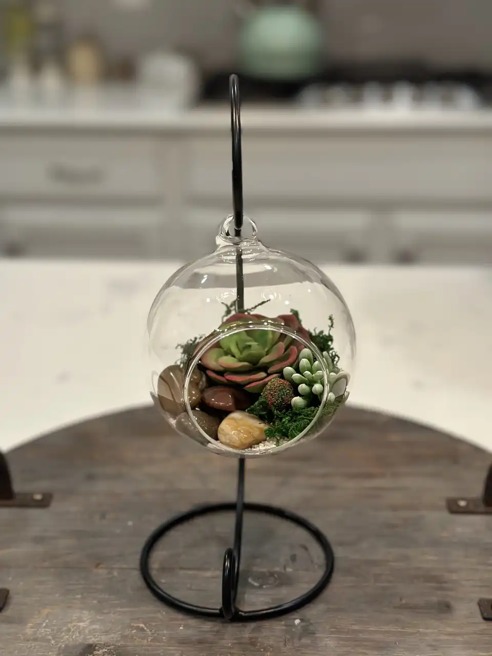 Hanging glass globe terrarium with faux succulents and moss on a black stand